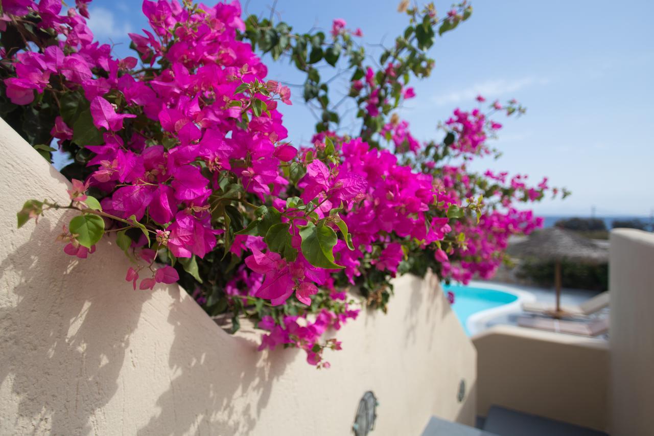 Theros Houses Santorini Kamári エクステリア 写真